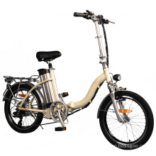High Quality Adult Folding Electric Bicycle with Removable Battery